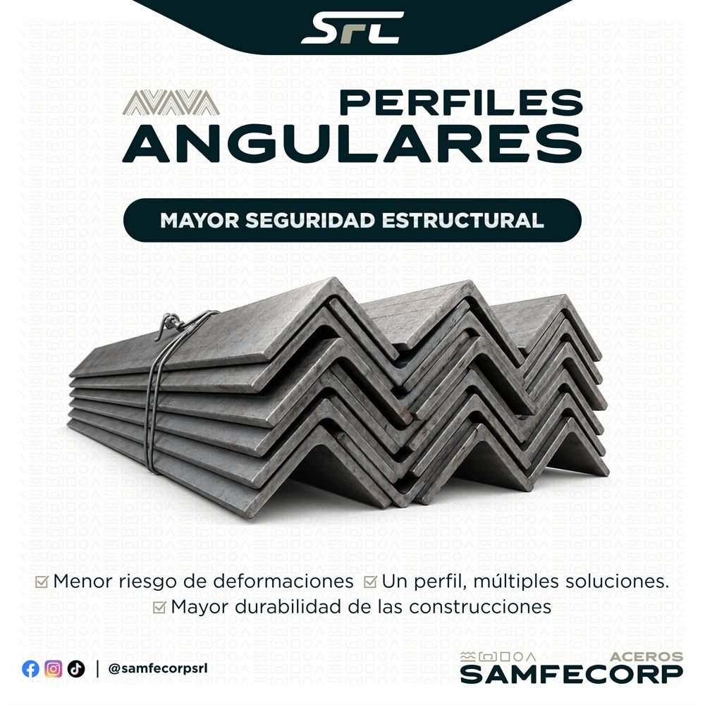 Publicación Perfiles angulares