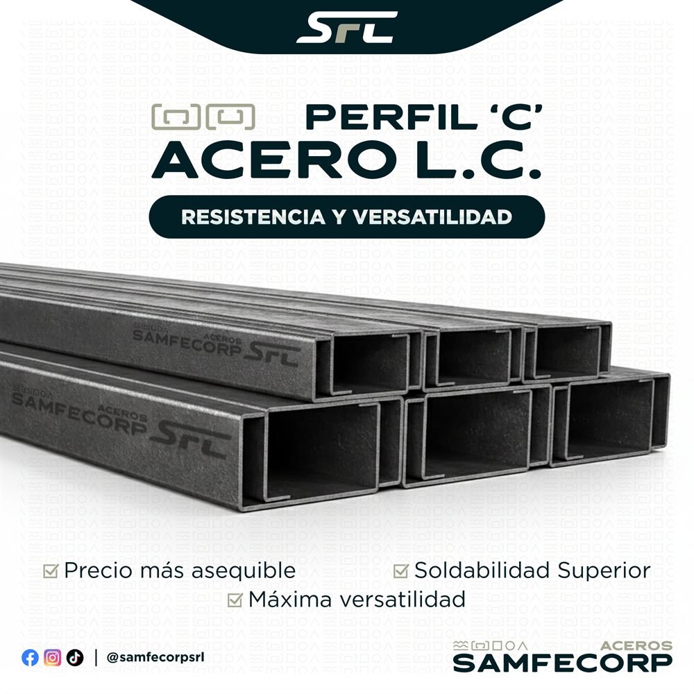 Publicación Perfil C L.C.